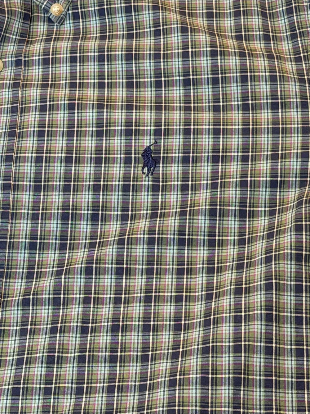 Polo by Ralph Lauren Blue and Green Plaid Button-Down Shirt